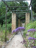 Menton - Serre de la Madone (6)